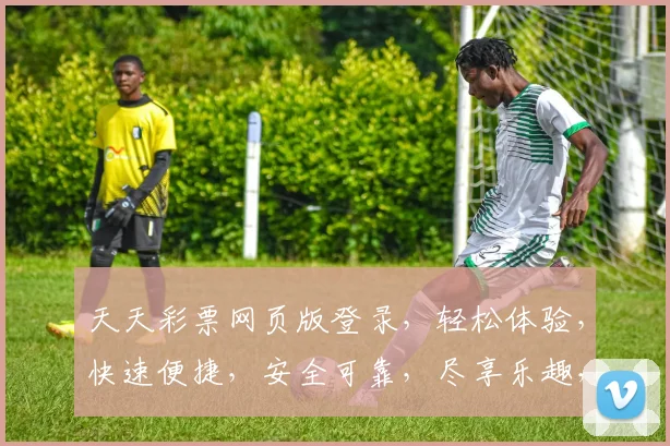 天天彩票网页版登录，轻松体验，快速便捷，安全可靠，尽享乐趣，三步即可