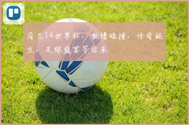 荷兰14世界杯，激情碰撞，传奇诞生，足球盛宴等你来