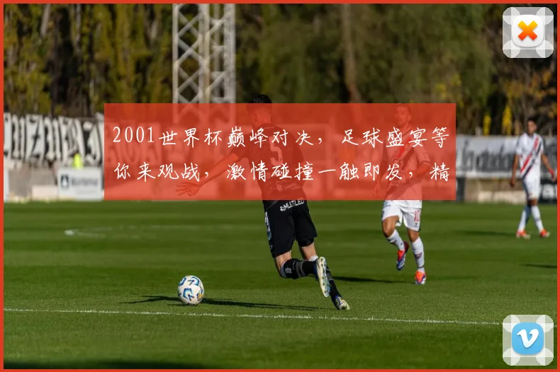 2001世界杯巅峰对决，足球盛宴等你来观战，激情碰撞一触即发，精彩不容错过